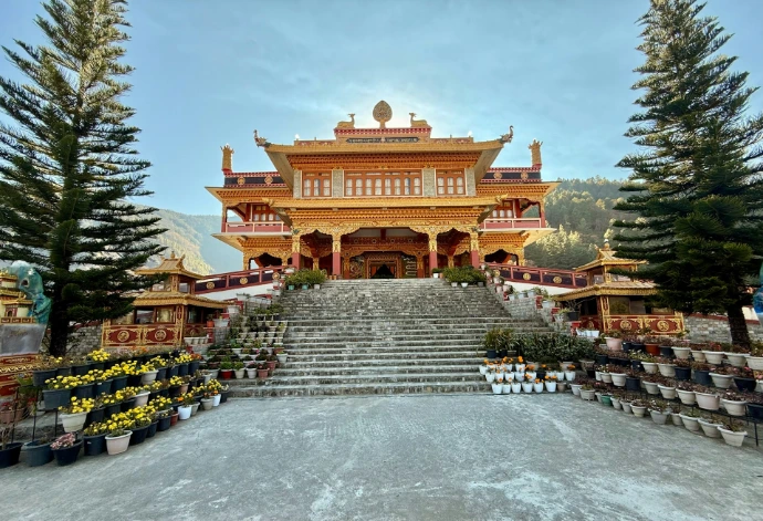 A large building with a lot of plants in front of it